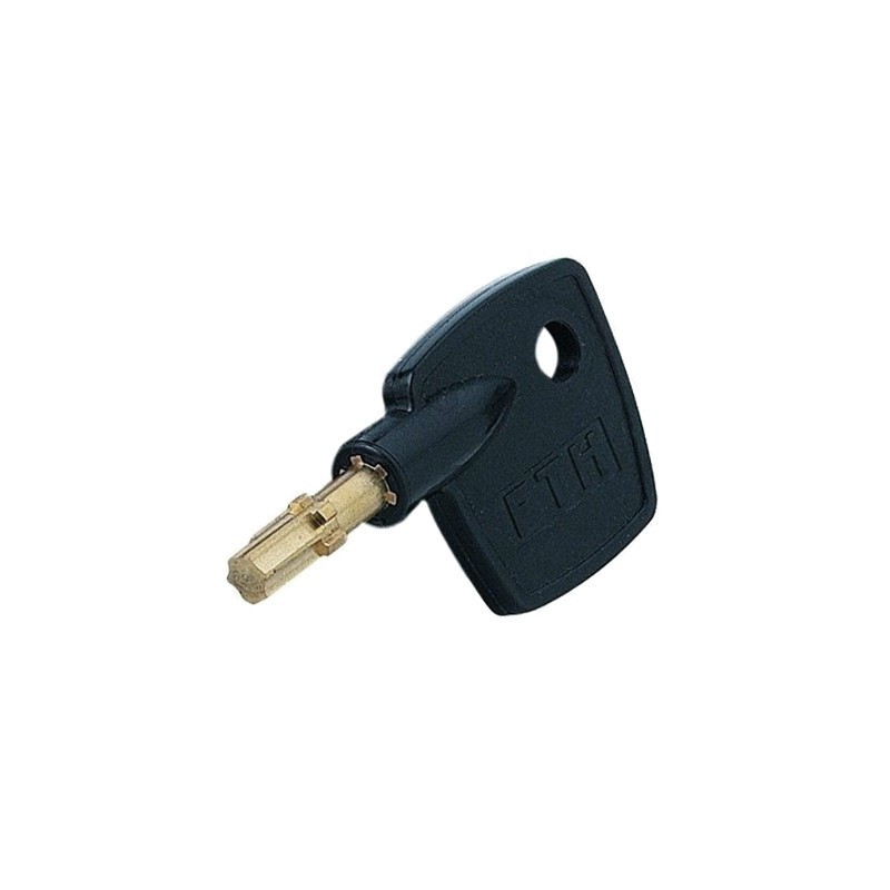 Reproduction clé FTH Surveyor en copie ou sur numéro
