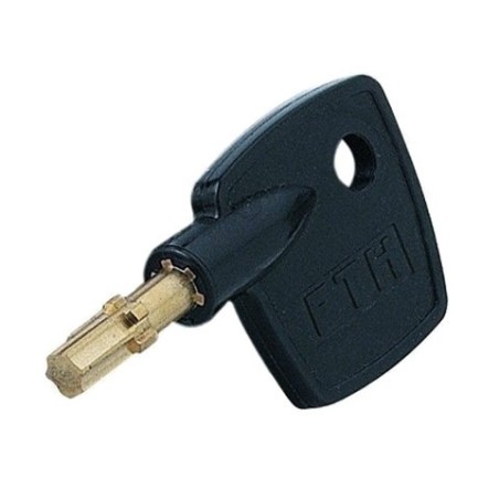 Reproduction clé FTH Surveyor en copie ou sur numéro