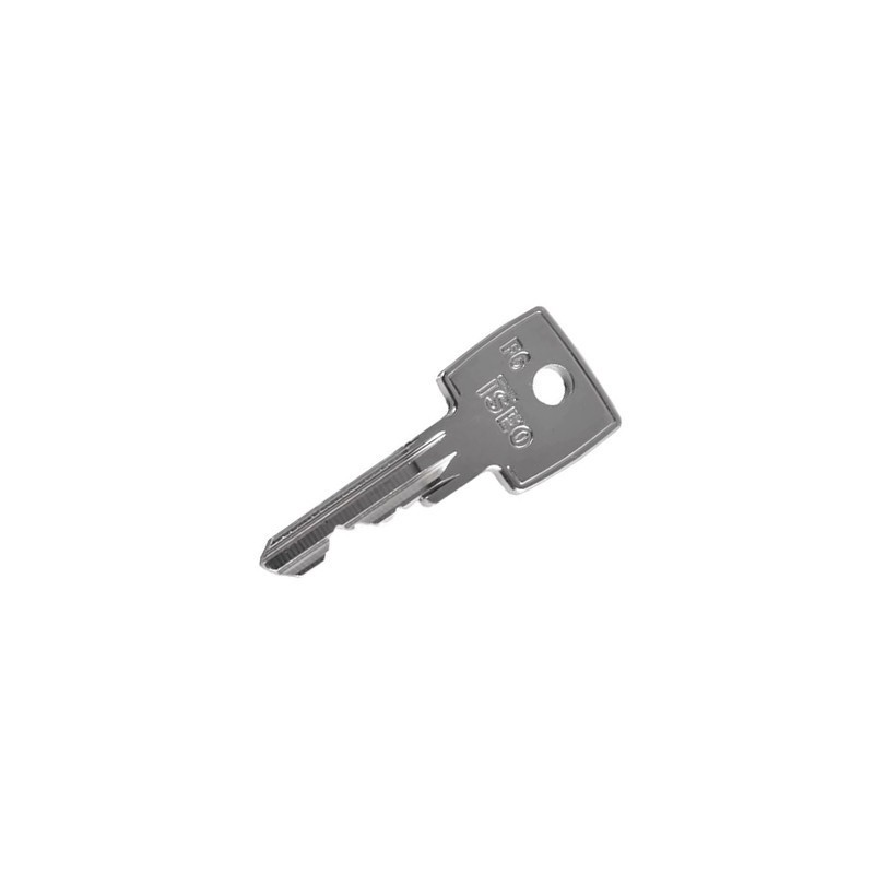 Clé Iseo F6 Plus Verticale sur numéro