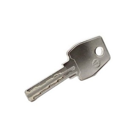 Clé de passe Euro-Locks Serpent UGL sur numéro