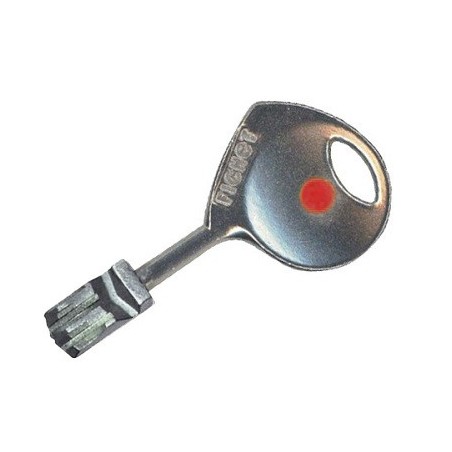 Reproduction clé Fichet 787S en copie ou sur numéro
