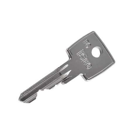 Clé Iseo F6 Plus Verticale sur numéro