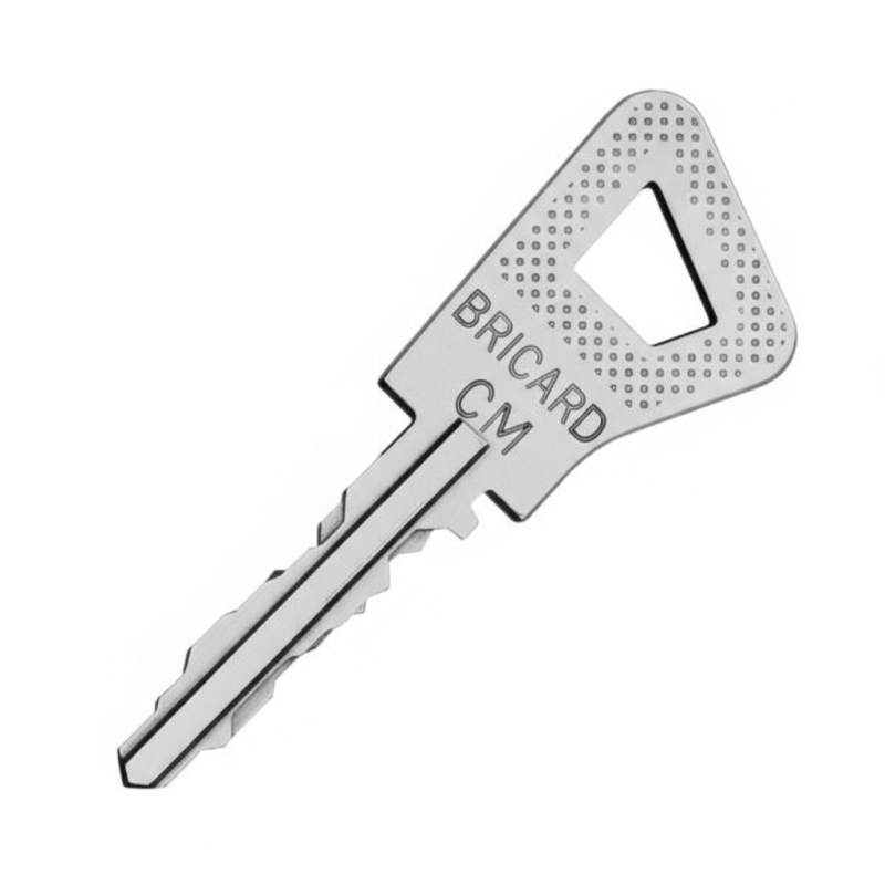Reproduction clé Bricard Bloctout sur numéro