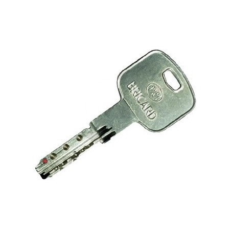 Reproduction clé Bricard Mistral S sur numéro