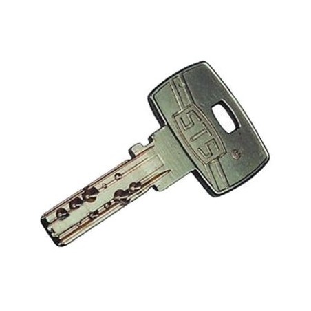 Clé Tesi STS IX-10 sur numéro