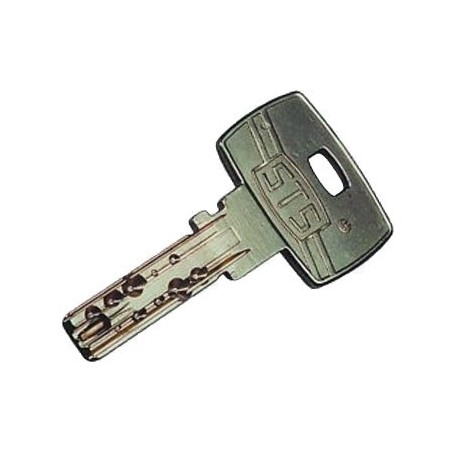 Clé Tesi STS Pendulaire CS12 sur numéro