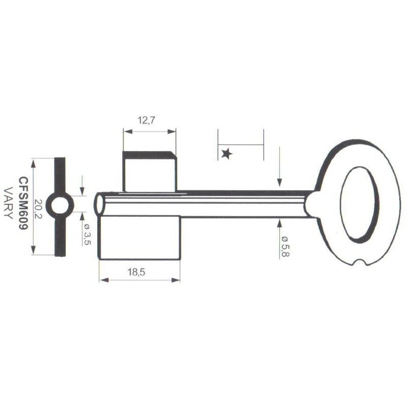 Clé de coffre-fort Mauer CFSM609