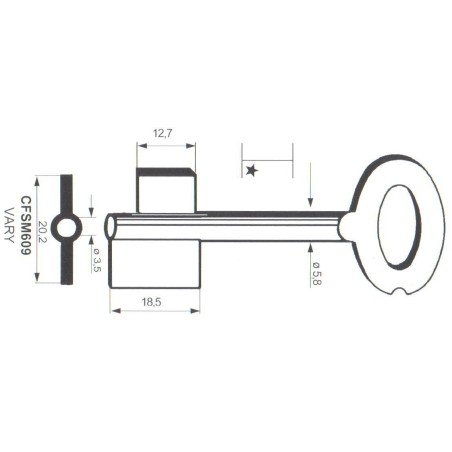 Clé de coffre-fort Mauer CFSM609