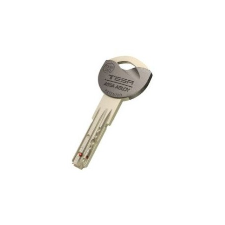 Clé Tesa TX80 sur numéro