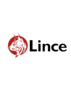 Lince